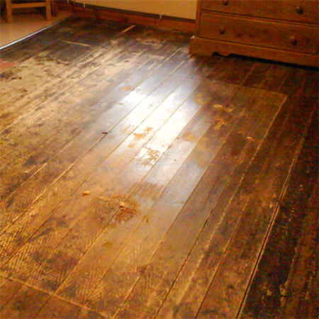 Oregon pine 
								floor hidden under carpeting