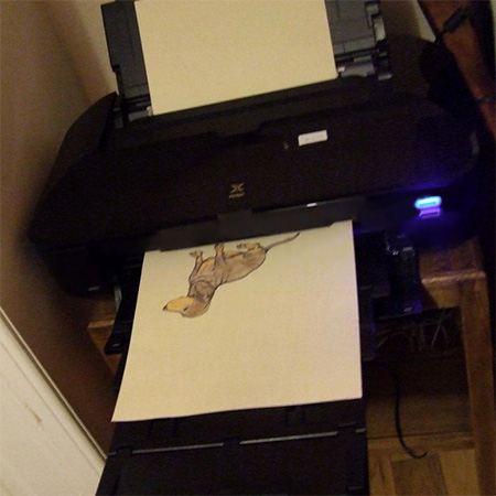 Fabric printed on PC printer