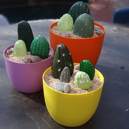 Painted pebbles for colourful cacti display