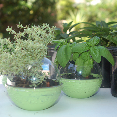 Recycled plastic herb or succulent pots