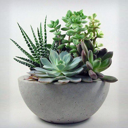 Concrete planters and garden ornaments such as small water features are easy to make and are a wonderful way to add interest to the garden.