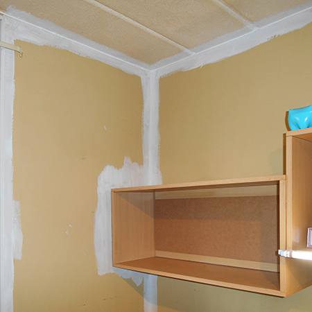 When painting my home office with Prominent Paints Select Sheen in white I used a paintbrush to cut in