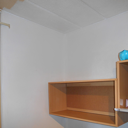 Paint your home with Prominent Paints Select range