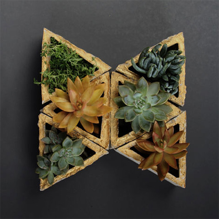 concrete geometric planter