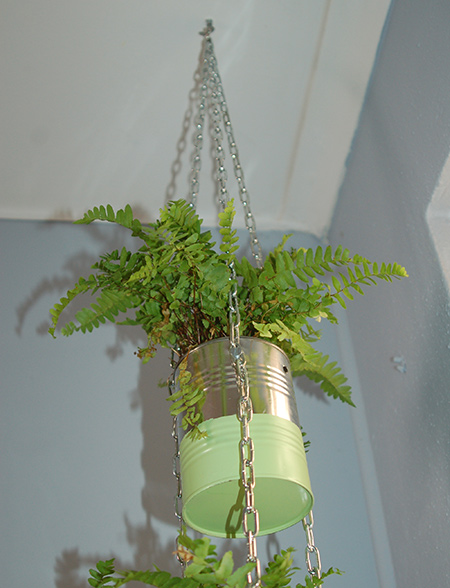 Coffee cans become an attractive plant holder