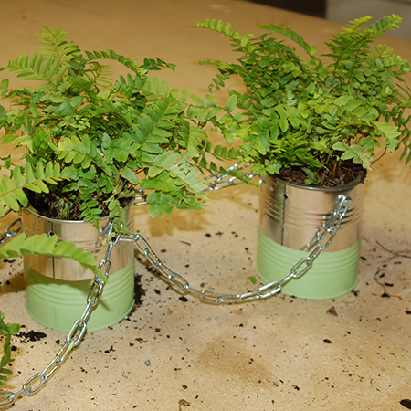 Coffee cans become an attractive plant holder