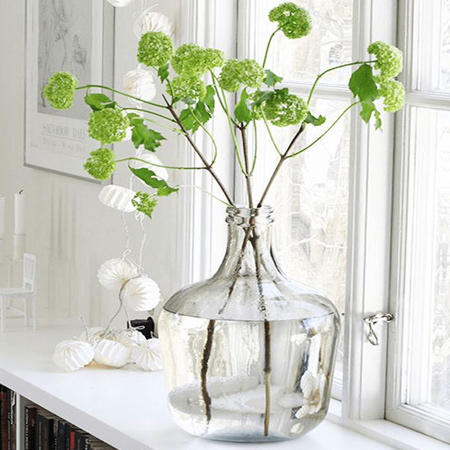 Pantone's colour of the year - greenery - symbolises a desire to rejuvenate and revitalise; a need to be at one with nature and each other. A refreshing and revitalizing shade, Greenery is symbolic of new beginnings.