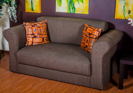 comfortable upholstered sleeper couch
