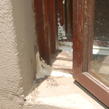 ensure the edges of the epoxy putty are blended into the surrounding wood to repair damage to wood by insects or wood rot