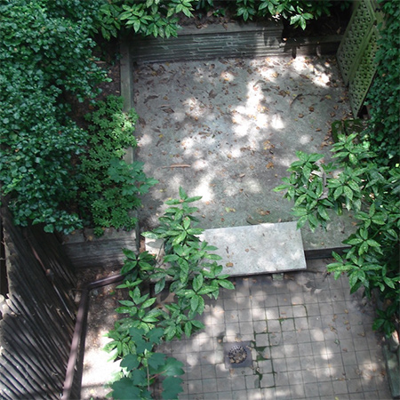 Ideas for a courtyard garden