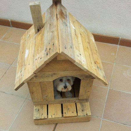 Reclaimed pallets used to make a warm and comfy kennel for your best friend
