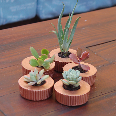 he cupcake concrete planters were sprayed with Rust-Oleum Metallic in copper. Metallics are trending right now and I love the rich finish the shiny metallic copper adds to the concrete