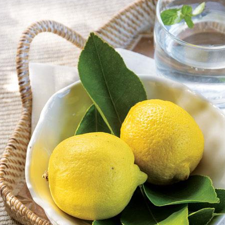 Casual outdoor entertaining