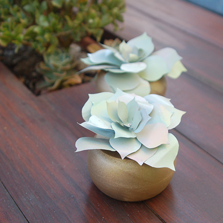 Recycled can succulents