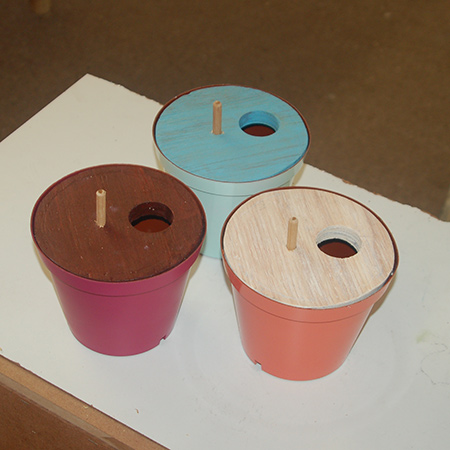 mount the bird houses outdoors