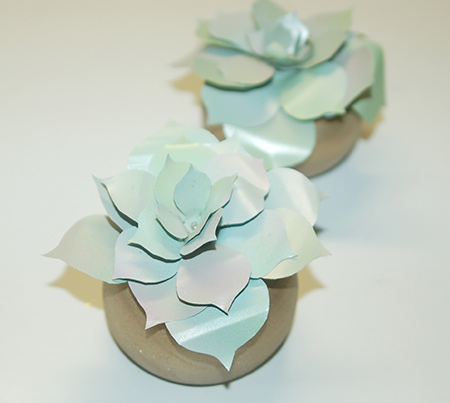 Recycled can succulents