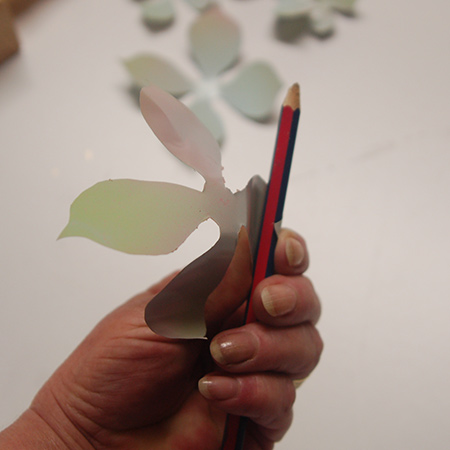 Recycled can succulents