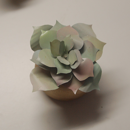 Recycled can succulents
