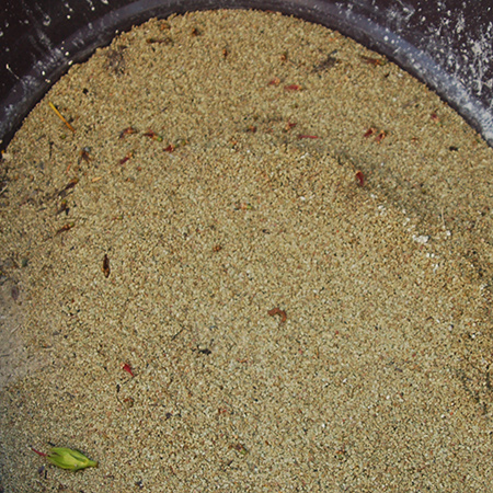 The old sand is finally removed from the filter. Also remove as much dirty sludge that is left at the bottom of the filter.