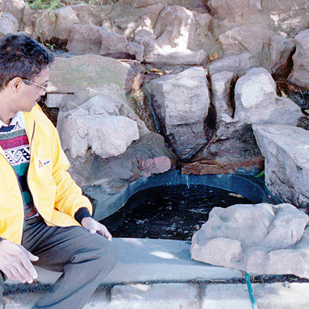 With today's water restrictions, a leaky pond can waste a lot of water. Repairing a leaking pond may seem like a daunting task, but with the right product you can have it as good as new in no time.