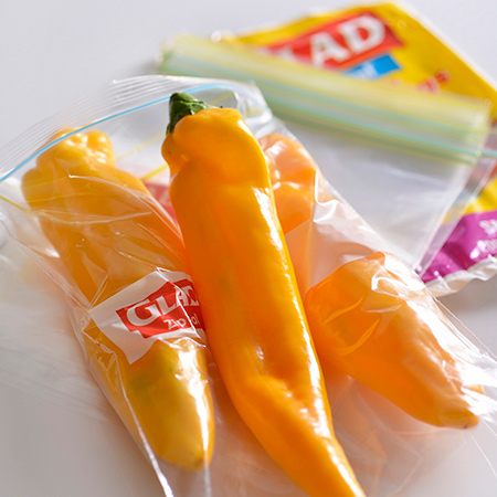 Spotlight on World Food Day