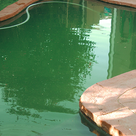 HOME-DZINE - Pool Tips - Get your pool ready for Spring - Spring is not too far away, and it's time to grab the pH test kit and pool cleaning equipment to get that pool ready for the swimming season!