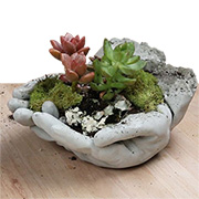 Concrete hands planter