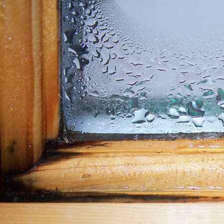 Window Frames and Doors