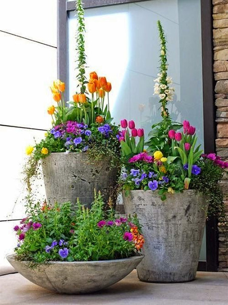 HOME-DZINE | Gardening Tips - Container gardens are popular for enhancing the appearance of indoor and outdoors spaces. And containers themselves can serve as eye-catching focal points. Growing plants in containers is considered a water wise practice, providing certain guidelines are followed.