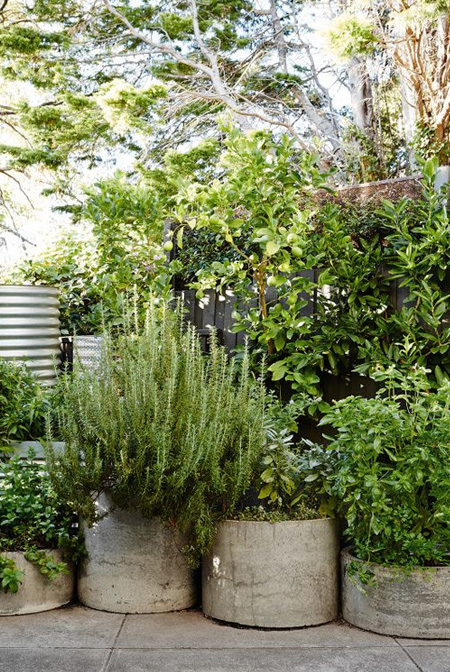 HOME-DZINE | Gardening Tips - Containers allow water to be used efficiently by plants, so it's always a good idea to place plants together with similar water