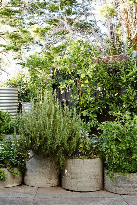 HOME-DZINE | Gardening Tips - Containers allow water to be used efficiently by plants, so it's always a good idea to place plants together with similar water