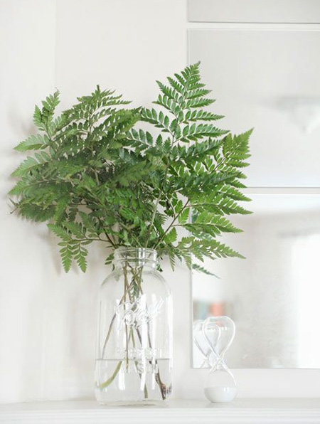 HOME-DZINE | Spring Home - If you don't have a green thumb or not a fan of houseplants, a simple glass jar or vase filled with fresh foliage from the garden will work wonders in a bathroom or kitchen. Browse your garden for interesting leaves that will add texture and interest to a windowsill or countertop.
