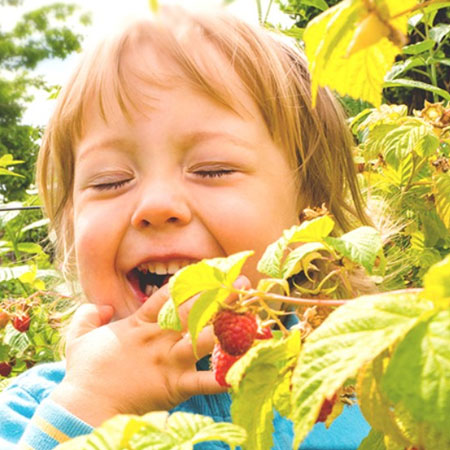 Life lessons for kids in the garden