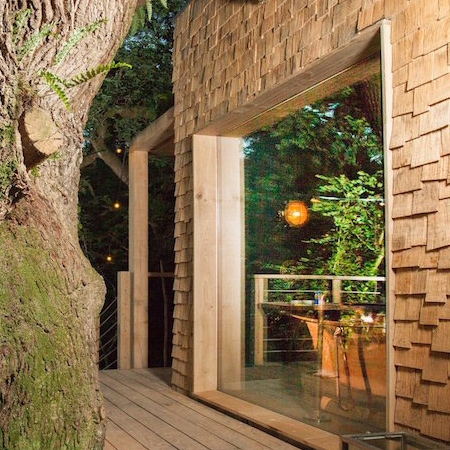 Luxury treehouse home