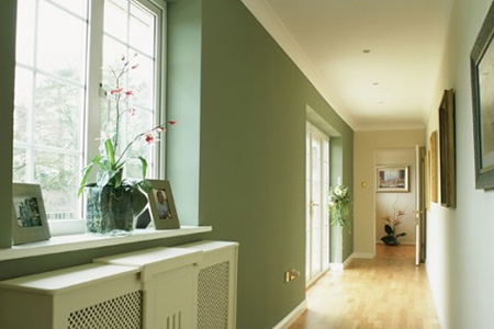 Handy painting tips from Prominent Paints