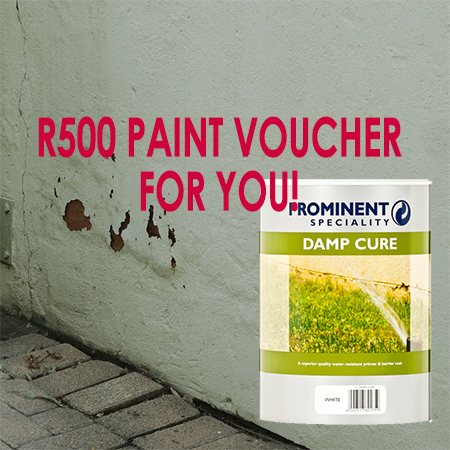 Deal with damp with prominent paints damp cure