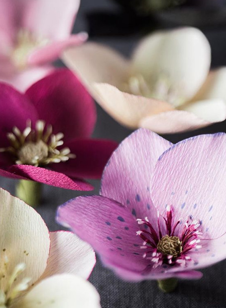 Hellebore blossoms with crepe paper for an arrangement or DIY wedding bouquet.