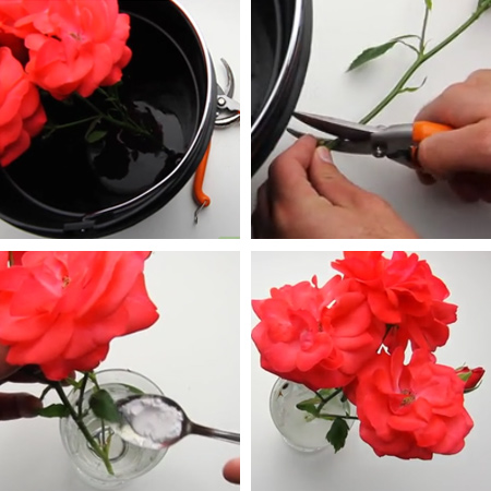 Fresh flowers last longer