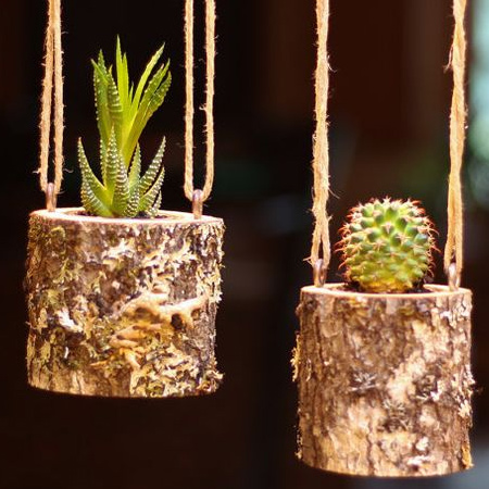 Crafty ideas for hanging plants