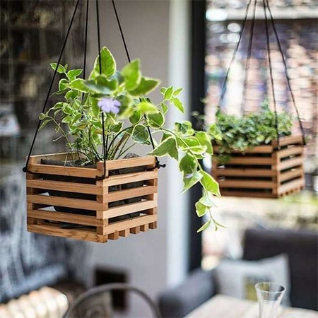 Crafty ideas for hanging plants