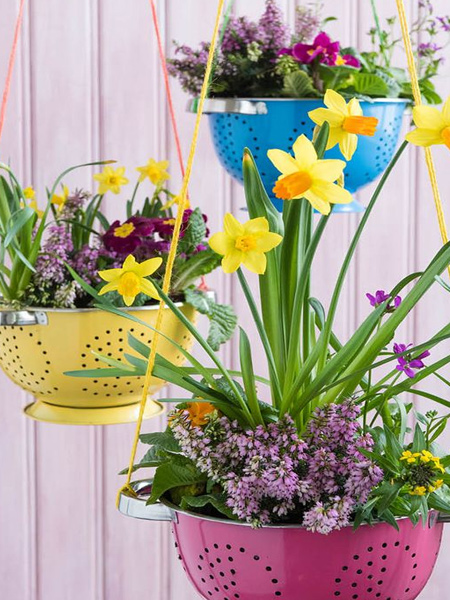 To add a fun splash of colour to your outdoor space, colanders in bold, bright colours look gorgeous when filled with colour annuals or bulbs.