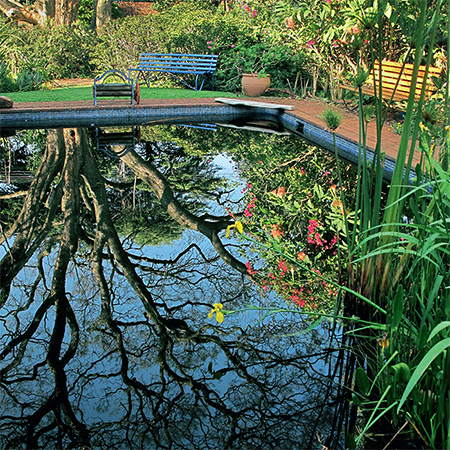A gravel bed was laid in the wetland section of the pool and sand bags filled with gravel create a bank to product varying levels from one end to the other.