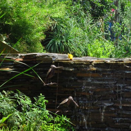 Wetland pool conversion