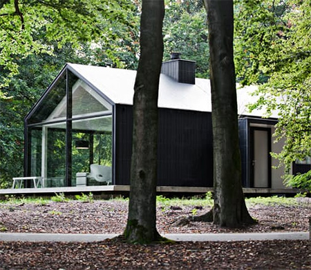 At home in the forest