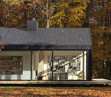 At home in the forest