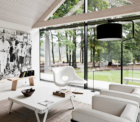 At home in the forest