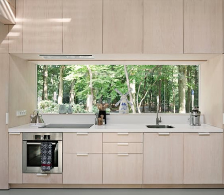 At home in the forest