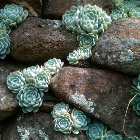 tutorial step by step instructions to make artificial fake rocks