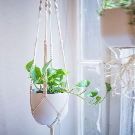 Make a Macramé Plant Hanger