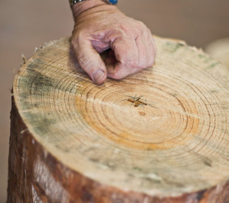Before you begin, inspect the stump for any damage or loose bark or wood. Loose sections must be chiselled off, as these are potentially dangerous if they fly out during the turning process.